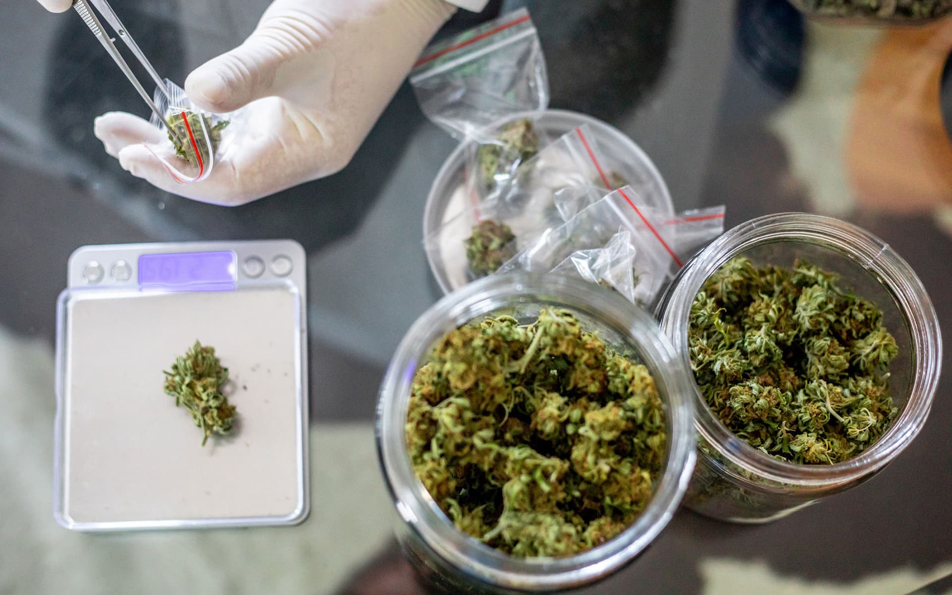 Buy Cannabis Extracts Europe Online – Vape Oils, CBD &amp; THC Products