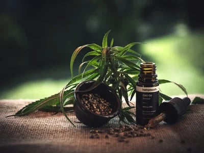 Cannabis Extracts Europe from Premium Cannabis Strains