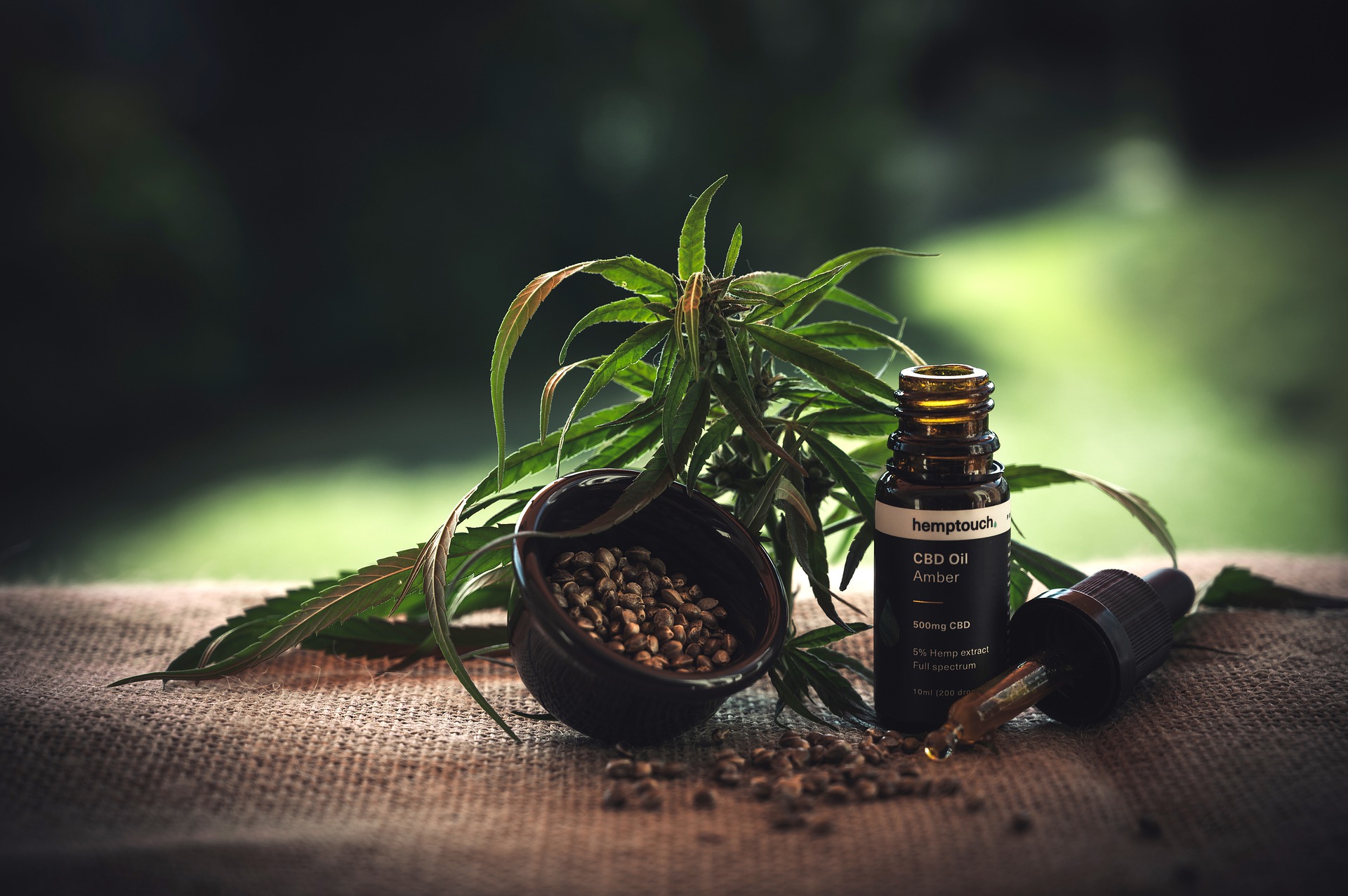 Cannabis Extracts Europe from Premium Cannabis Strains