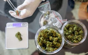 top-ten-cbd-strains-leafly